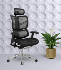 FLY Ergonomic Office Chair