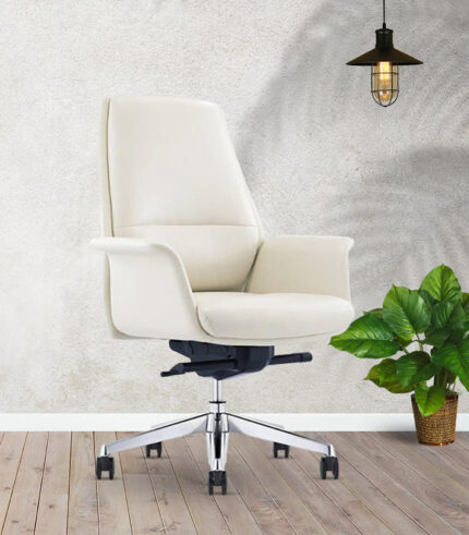 Medium Back Ergonomic Office Chair Hyman